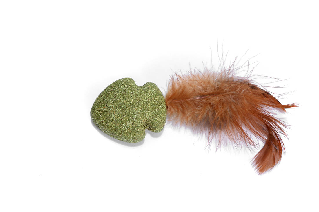 Champignon Matatabi avec plume – Animalerie Maroc