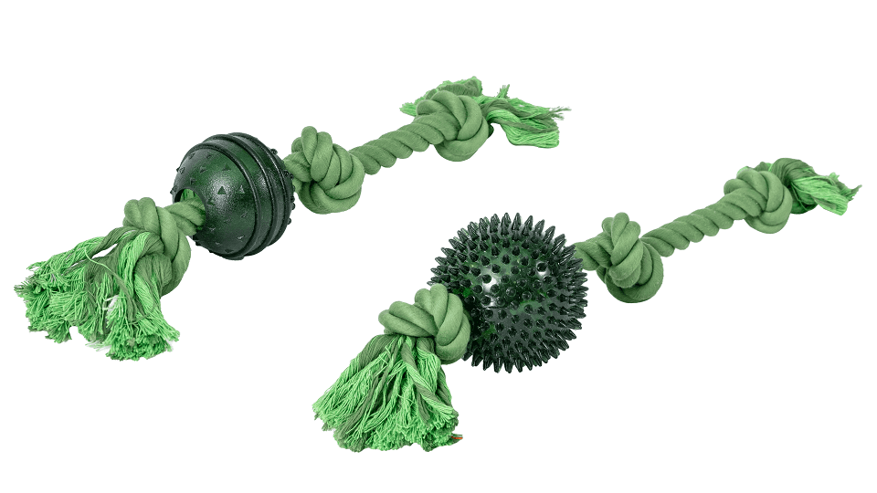 Jouet ECO LINE mordeur avec balle - 8x50cm – Animalerie Maroc