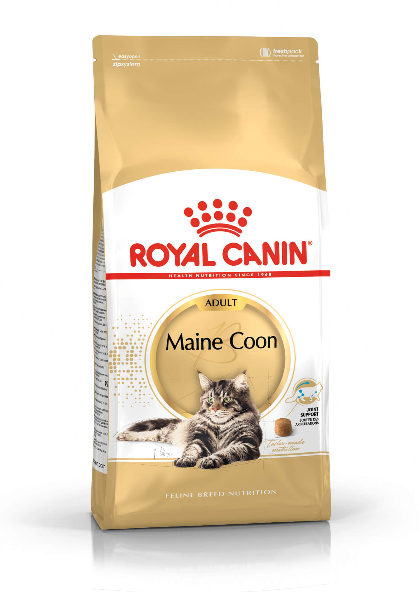 Main coon adulte - 2kg – Animalerie Maroc