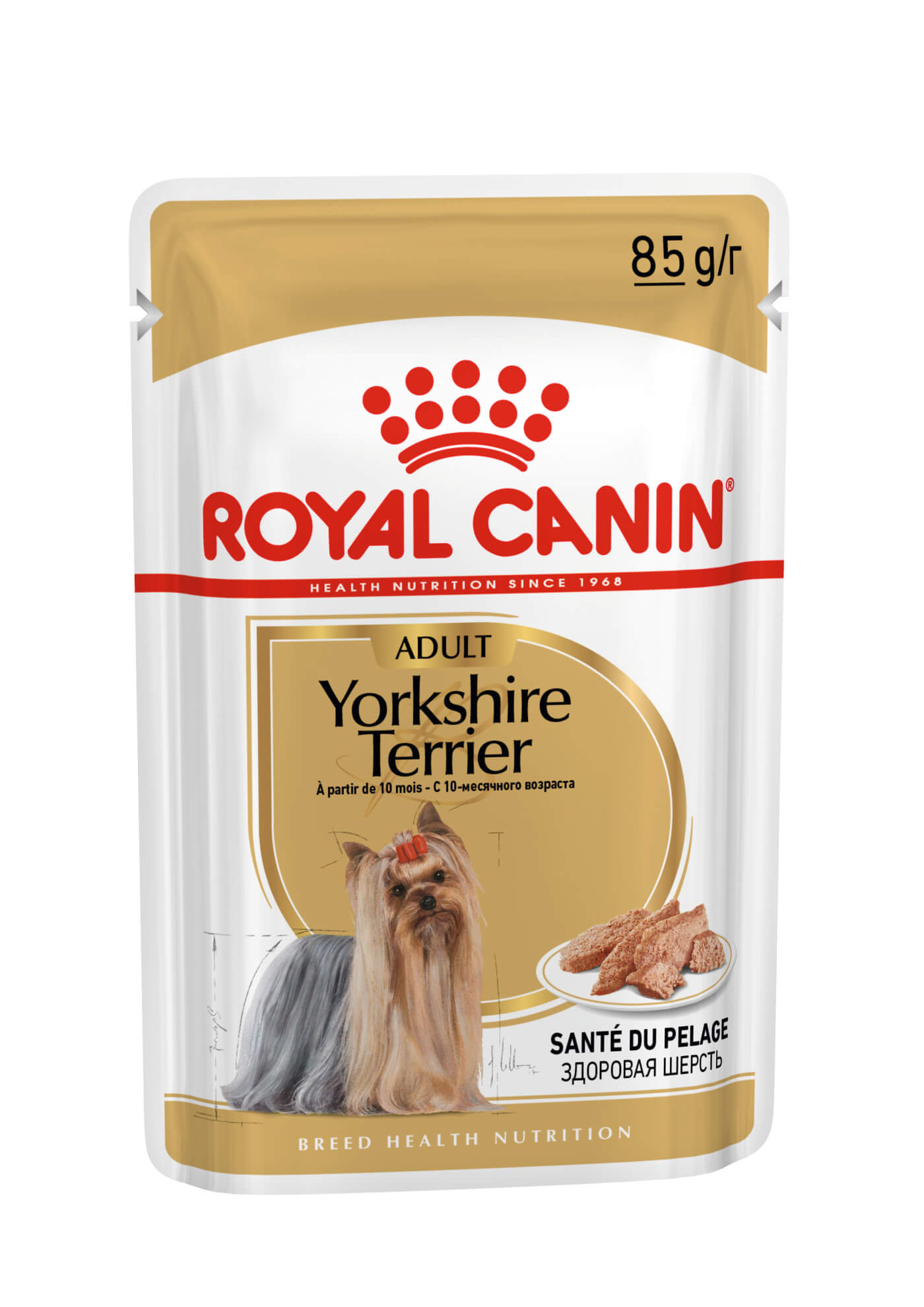 Yorkshire Terrier paté - 85gr – Animalerie Maroc
