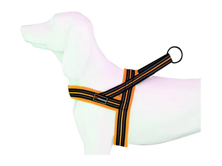 Harnais Ergo - Bleu / M (20mmx50/71cm) – Animalerie Maroc