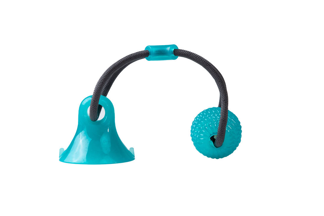 Jouet balle mordeur avec ventouse – Animalerie Maroc