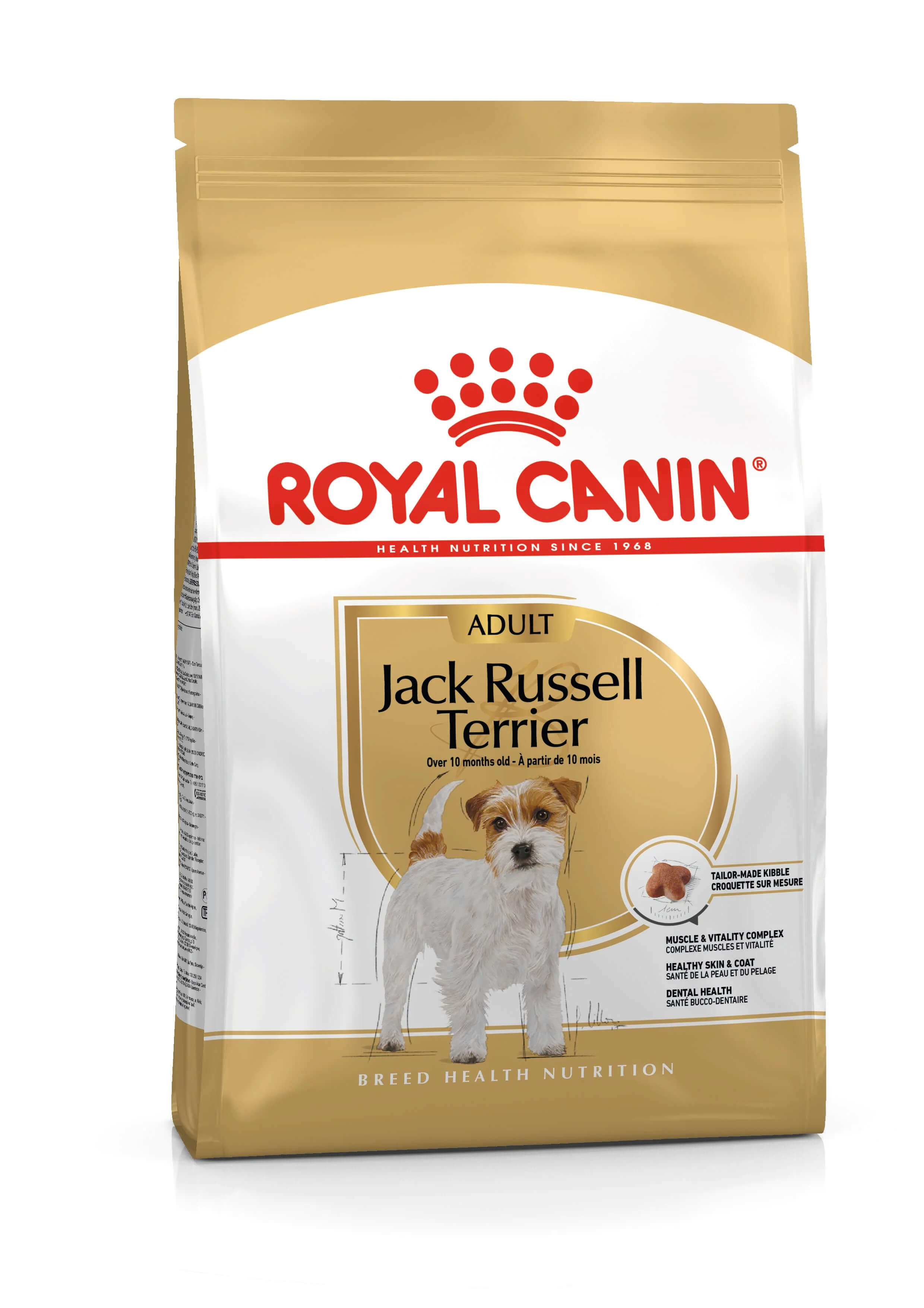 Jack russell adulte - 3kg – Animalerie Maroc