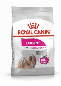 Mini exigent - 3kg – Animalerie Maroc