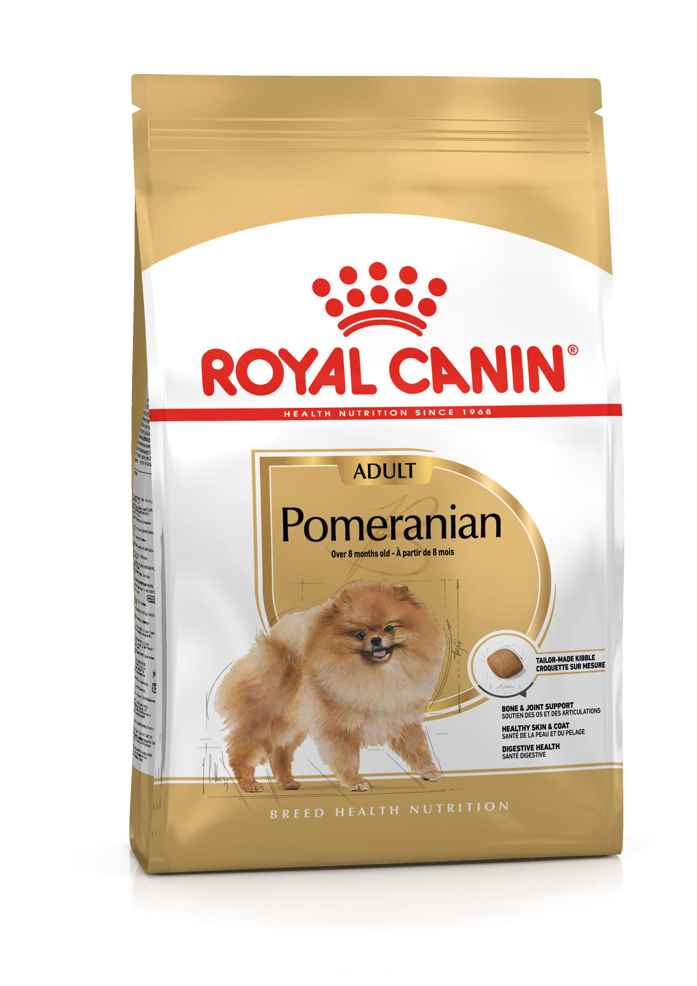 Pomeranian adulte - 1.5kg – Animalerie Maroc